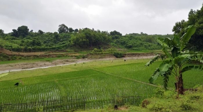 ঘুমধুম সীমান্তে ফের তীব্র গোলাগুলি, স্থানীয়রা আতঙ্কে