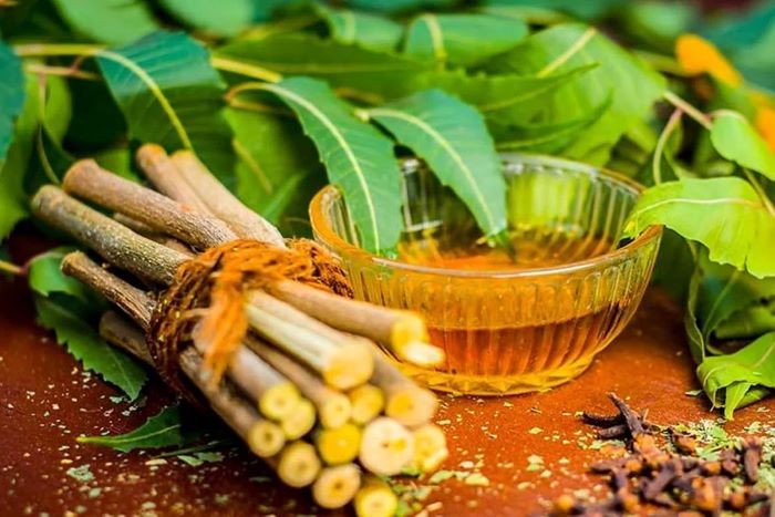 দাঁতের যত্নে নিমকাঠি কতটা কার্যকর? জানুন উপকারিতা