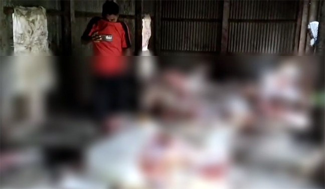 পরিত্যক্ত বাড়িতে ১৩ ঘোড়া জবাই, জীবিত উদ্ধার এক (ভিডিও)