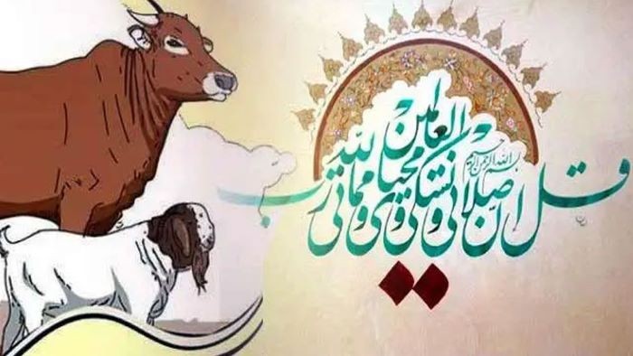 যেসব কারণে কুরবানি কবুল হয় না