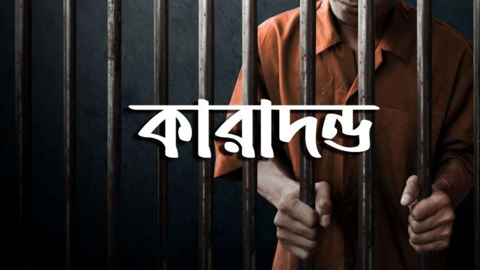 টিকটক তারকা নয়, বানাতে চেয়েছিল যৌনকর্মী : ফরিদপুরে পাচারকারীর জেল